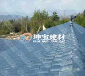 地區(qū)差異化不同，慎重選擇不同規(guī)格的合成樹脂瓦